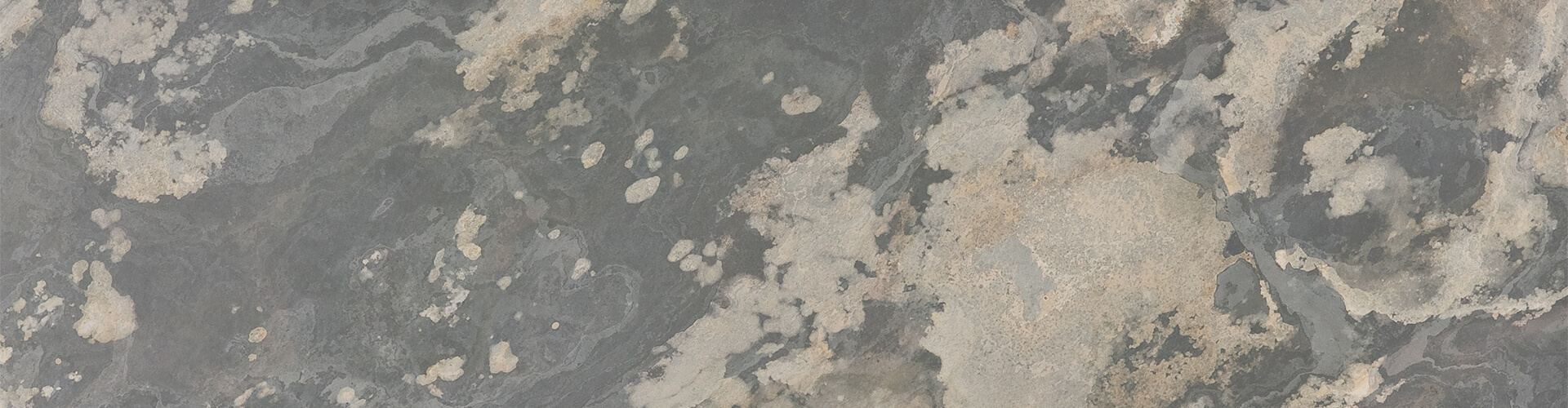 &nbsp;